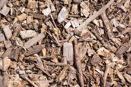  Wood sawdust photo