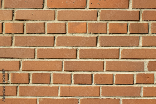 Orange wall brick background. Textured bricks. Copy space