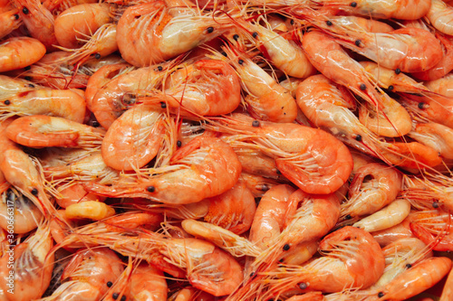 Shrimps background. Palaemon elegans european rockpool shrimp. Fresh prawn. Seafood background.