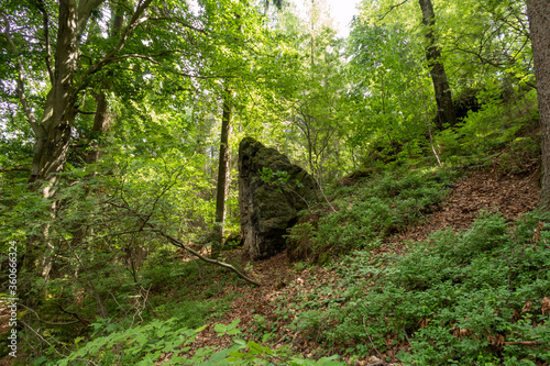 Elbsandsteingebirge in Sachsen  S  chsische Schweiz 