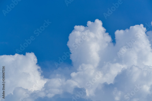 cumulus white clouds in a blue sky
