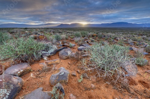 Canvas Print TYPICAL KAROO  VEGETATION in the Tankwa Karoo National Park