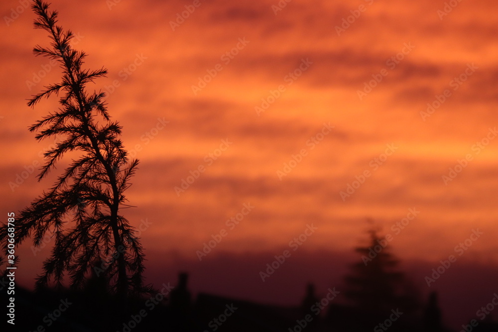 fiery morning fiery morning