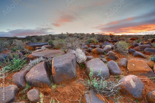 TYPICAL KAROO  VEGETATION in the Tankwa Karoo National Park. The Karoo is a vast arid basin containing five distinct biomes and two transitional biomes. the vegetation is highly adaptive