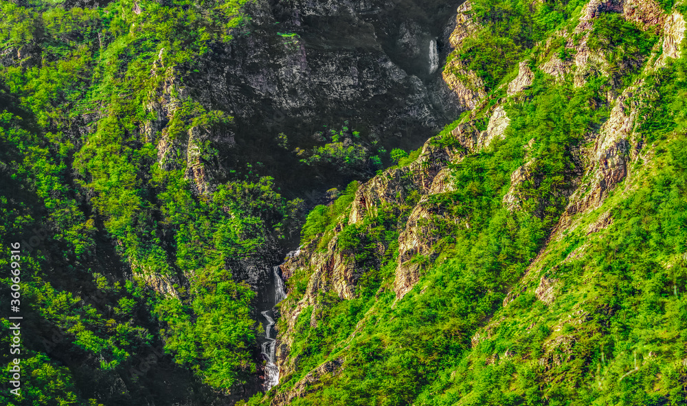 the waterfall in the mountains with green tree