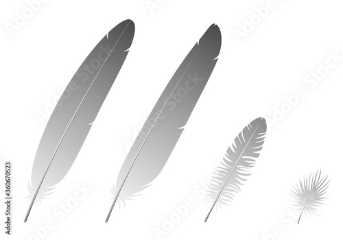 Feathers are all composed of the protein beta-keratin and made up of the same basic parts, arranged in a branching structure