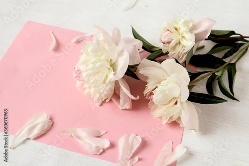 Bouquet of peonies on a pastel background  place for the inscription  side view.