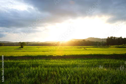 Beautuful landscape in green farmland near valley mountain and destination of sunset in Thailand