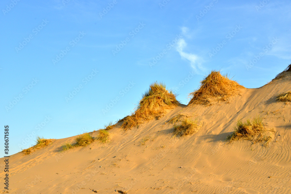 sand dunes at Sandscales Haws, Barrow-in-Furness, England, UK