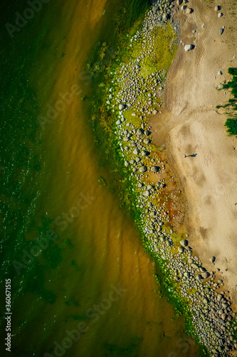 Rocky Baltic sea shore with Green sea algae on stones