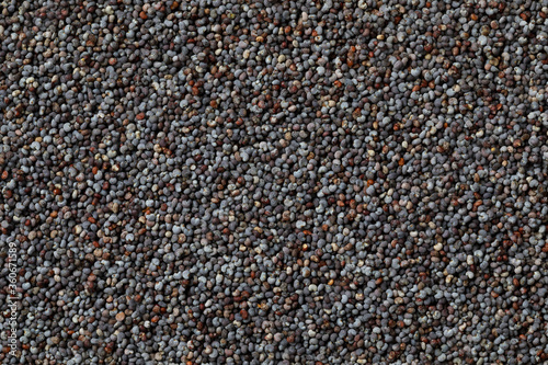 Black poppy seed close up