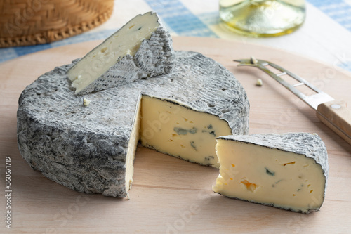 Whole fresh French Rochebaron cheese photo