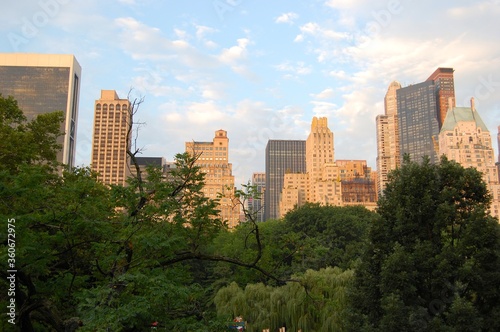 New York City from Central Park