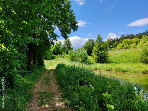 country road in the shade of green foliage of trees on a sunny day against a blue sky with clouds