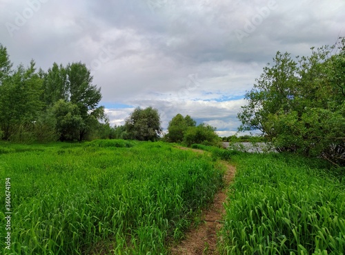 a path among grass and trees on the green bank of the river against a cloudy sky