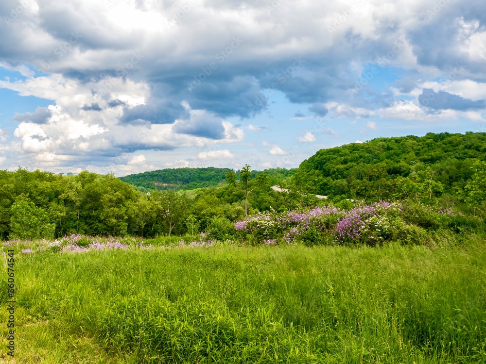 Rolling hills and fields of green in southwest Pennsylvania near Pittsburgh with a bright blue sky filled with white clouds in the background.  Beautiful rural nature landscape scene.