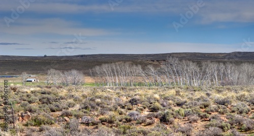 KAROO SCENERY, Eastern Cape, South Africa 