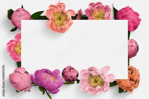 Fototapeta Naklejka Na Ścianę i Meble -  Peony flower scene logo background