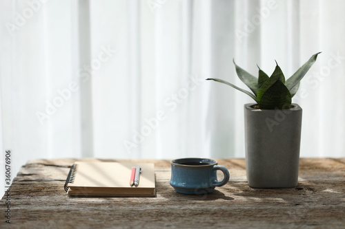 clay blue coffee cup and brown notebook and pencil with snake plant on wooden table 