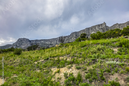 At top of Table Mountain. Table Mountain is the most iconic landmark of South Africa, overlooking the city of Cape Town. Cape Town South Africa. © dbrnjhrj