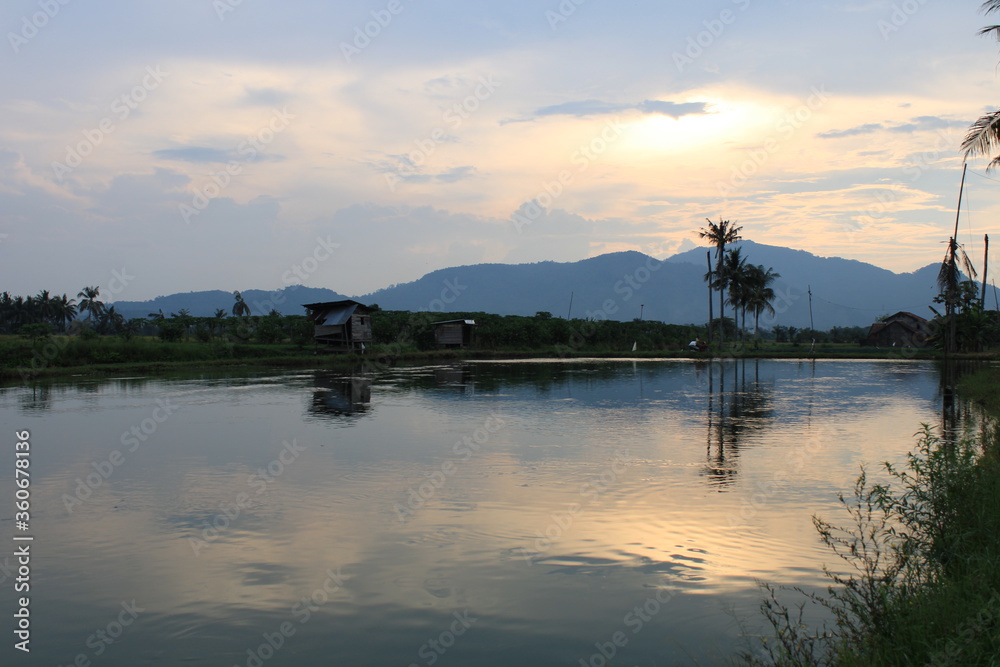 pond, huts and paddy fields before the hills after raining pond, huts and paddy fields before the hills after raining