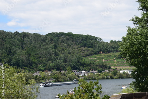 Mosel zwischen Güls und Metternich, Koblenz photo