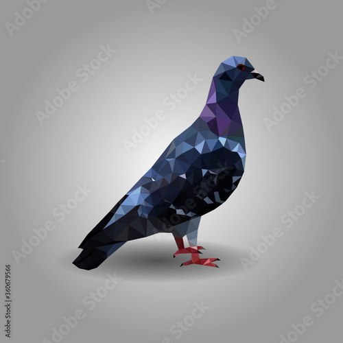 One gray pigeon blue wings low polygon isolated on white background, colorful dove bird modern geometric icon, avian pet crystal design illustration.