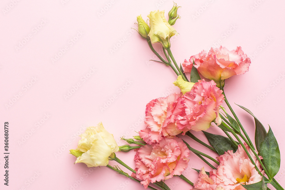 Beautiful pink flower bouquet on pastel background with copyspace. Holiday and love