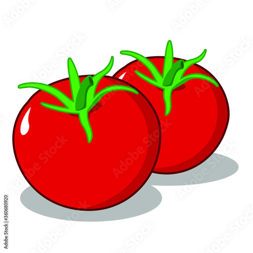 fresh tomatoes vector can use for elements design or grocery store business
