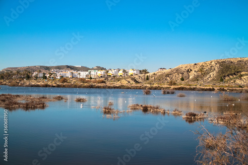 Fototapeta Naklejka Na Ścianę i Meble -  Lake of Palomares with the towm in background near of the Vera Playa, Andalusia, Spain