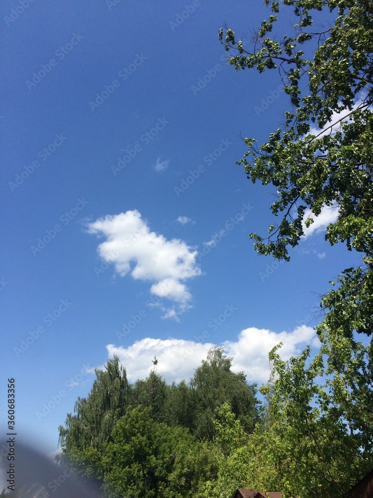 Obraz premium Красивое небо