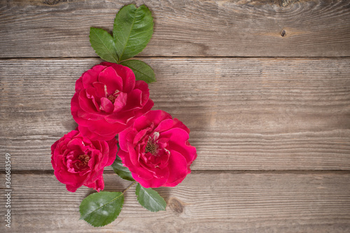 red roses on old wooden background