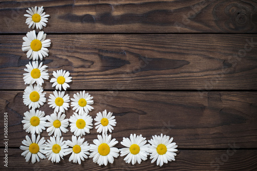 white daisies on old wooden background © Siarhei
