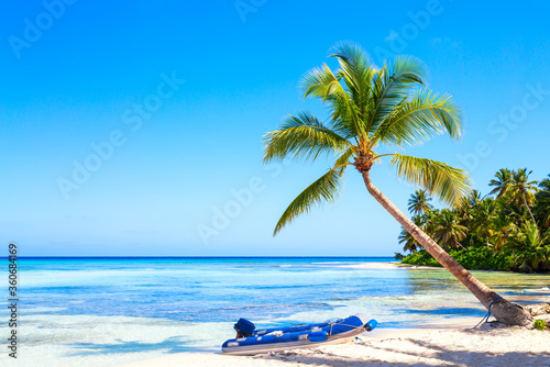 Fototapeta Naklejka Na Ścianę i Meble -  Palm tree on the caribbean tropical beach with rubber boat. Saona Island, Dominican Republic. Vacation travel background