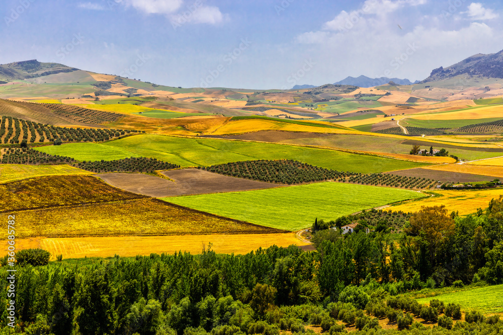 Agriculture fields in Castilla La Mancha, Spain