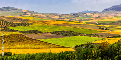 Agriculture fields in Castilla La Mancha, Spain