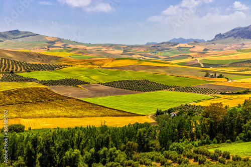 Fototapeta Naklejka Na Ścianę i Meble -  Agriculture fields in Castilla La Mancha, Spain