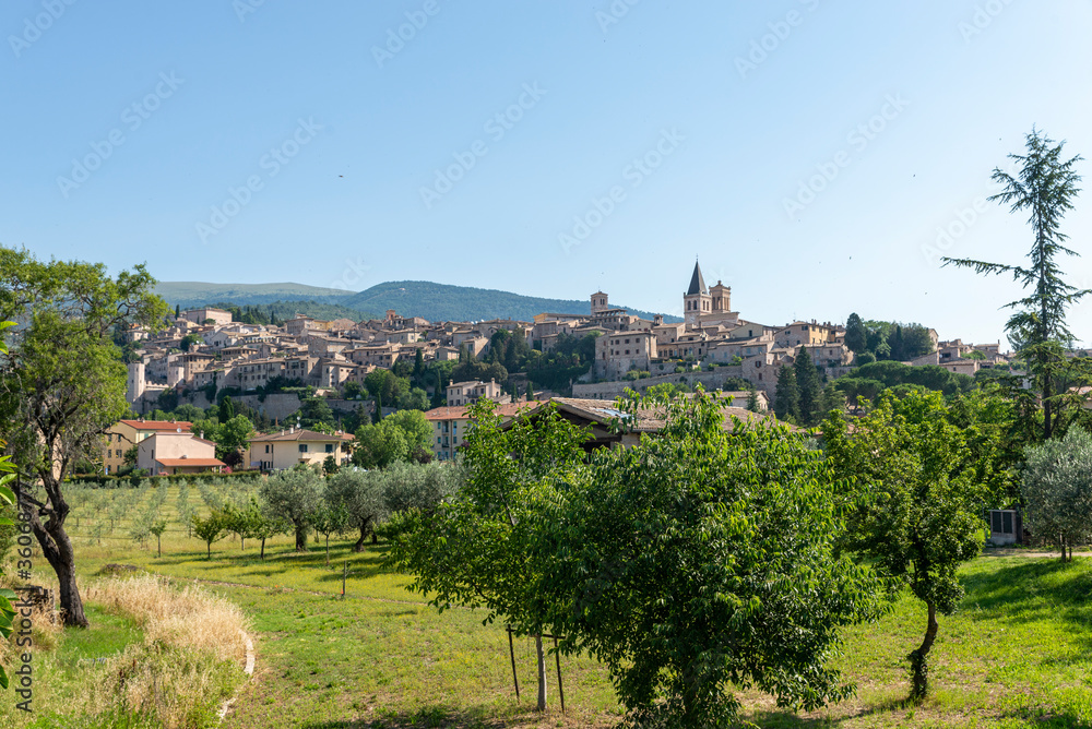 panorama of the town of spello province of perugia