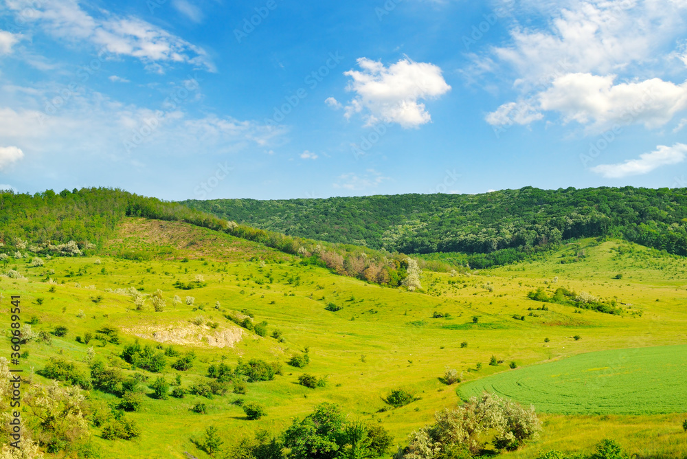 Hilly green fields with trees and shrubs.