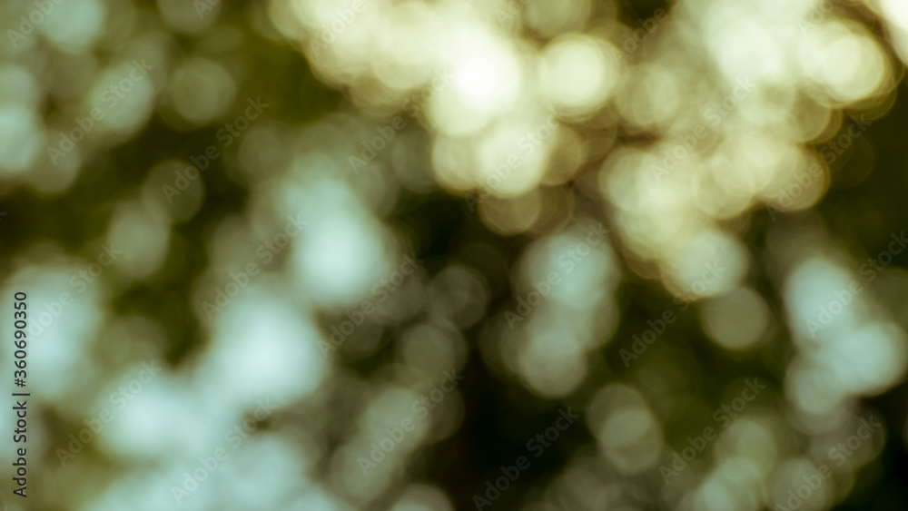 abstract background of bokeh abstract background of bokeh