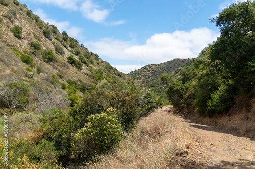 Hiking trails going to the top of Santa Catalina Island mountains. California, USA © Unwind