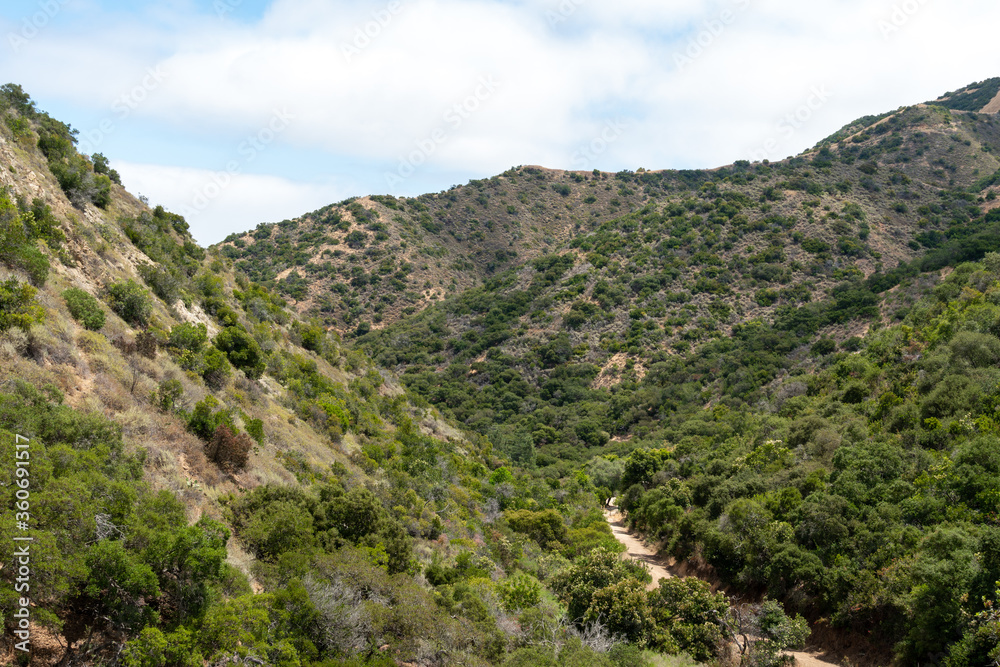 Hiking trails going to the top of Santa Catalina Island mountains. California, USA