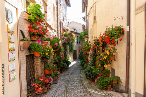 alleys of spello decorated with plants and characteristic flowers © Federico