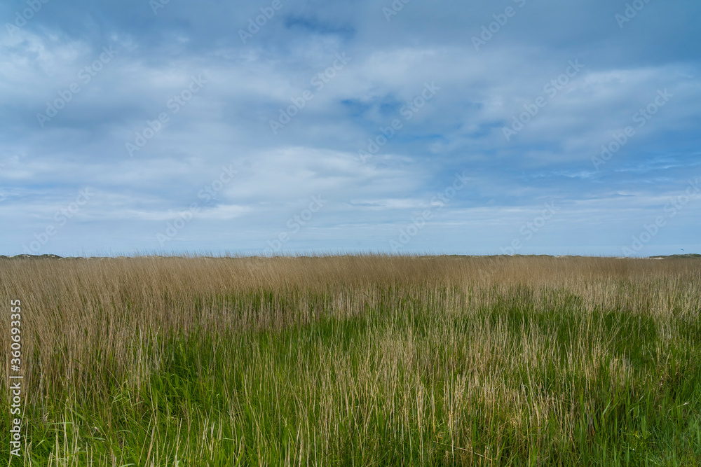 Nordsee Tourismus Reise Urlaub Sonne