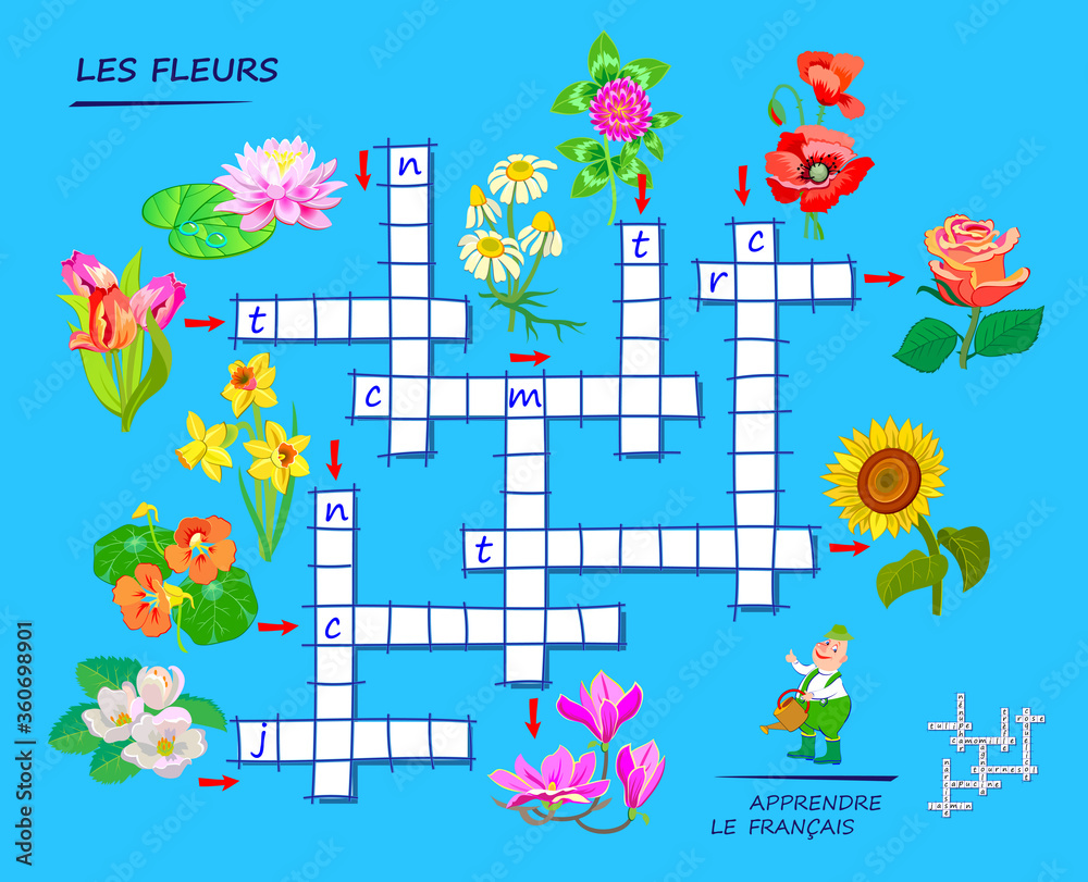 LEARN FRENCH. Crossword puzzle game with flowers. Educational page for  children to study French language and words. Printable worksheet for kids  textbook. School exercise book. Flat vector. Stock Vector | Adobe Stock