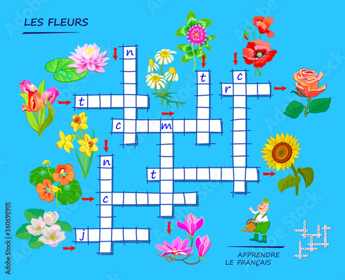 LEARN FRENCH. Crossword puzzle game with flowers. Educational page for children to study French language and words. Printable worksheet for kids textbook. School exercise book. Flat vector.