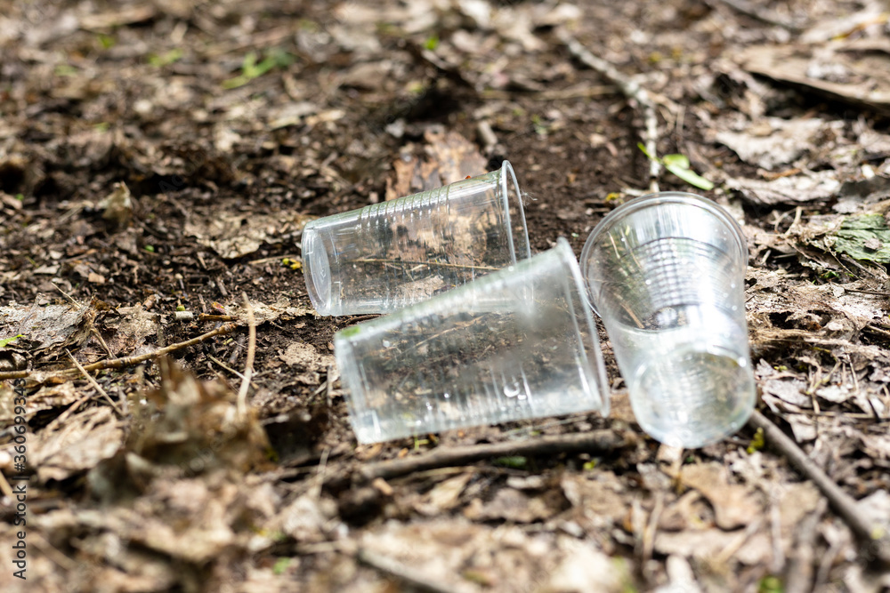 Obraz premium Plastic cups scattered on the ground in the forest