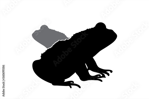 Vector silhouette of couple of frogs. Symbol of pond animal.