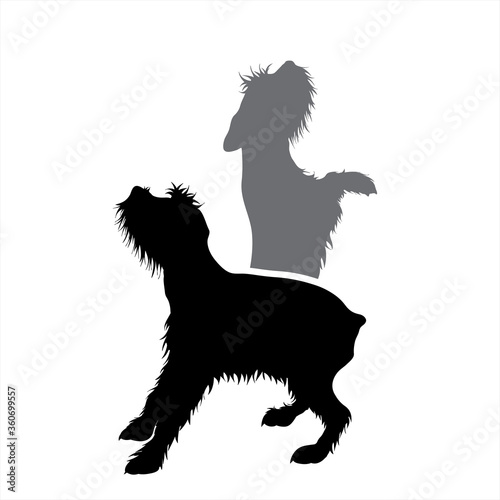 Vector silhouette of couple of dogs. Symbol of pet.