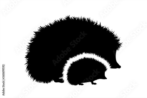 Vector silhouette of family of hedgehog. Symbol of forest animals.